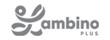 LambinoPartner